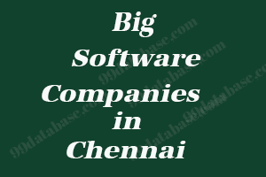 Big Software Companies in Chennai