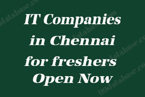 IT Companies in Chennai for freshers Open Now